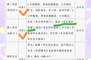  初中生参加篮球试训的建议：成功之路与实战技巧